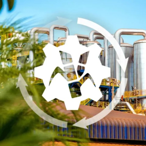 O impacto direto na Categoria de Montagens, Manutenções e Prestação de Serviços nas Áreas Industriais e Eletromecânica de Minas Gerais 